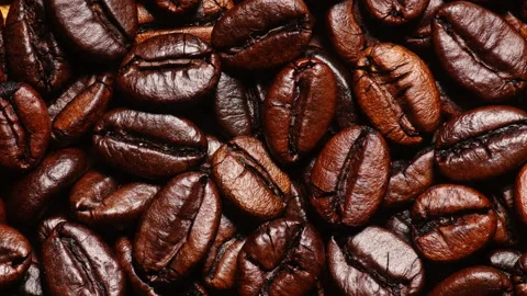 Roasted coffee beans Stock Footage 237532001