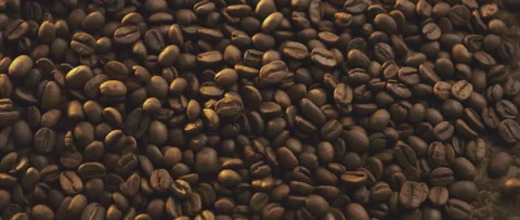 Roasted coffee beans Video stock 247382702