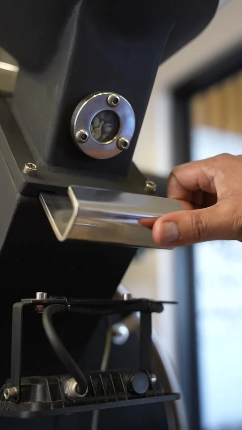 Roasted coffee beans Stock Footage 310051346