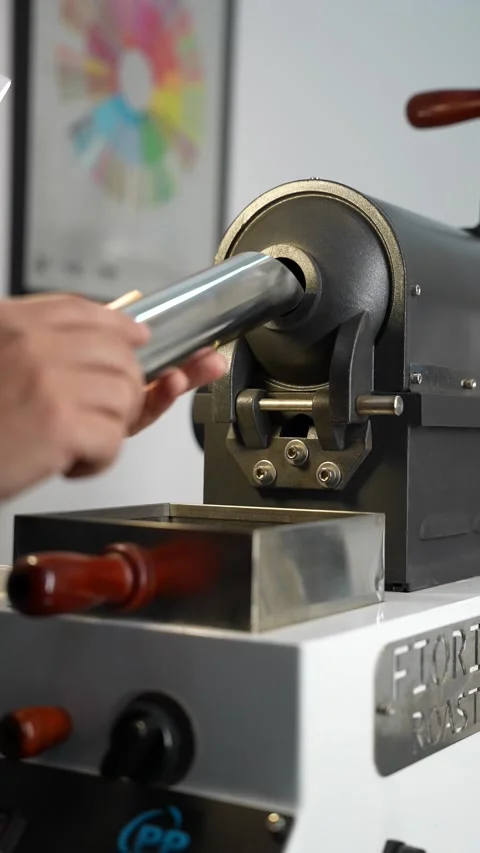 Roasted coffee beans Stock Footage 310051472