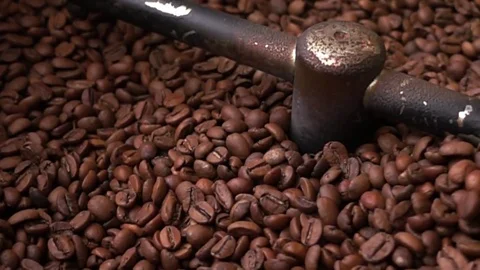 Roasted Coffee Beans Hot Drink Stock-Footage 81247345