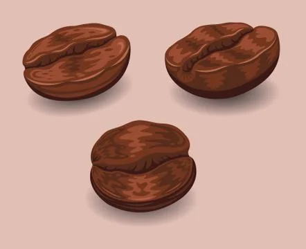 Roasted Coffee Beans Stock Illustration