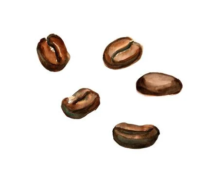 Roasted coffee beans Stock Illustration