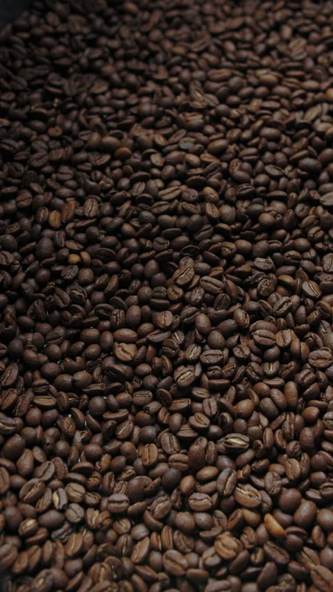 Roasted coffee beans in industrial cooling mixer Stock Footage 310543719