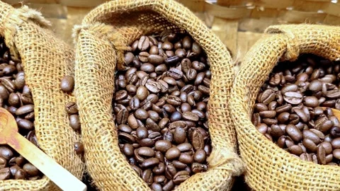 Roasted coffee beans inside a burlap sacks. Fresh aromatic coffee grain. Video stock 300160714
