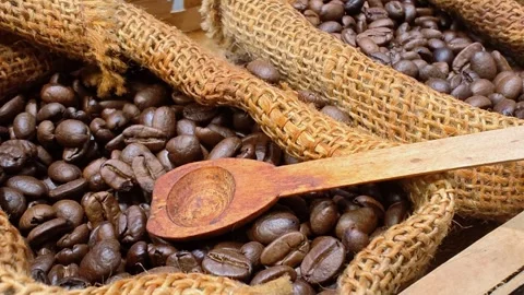 Roasted coffee beans inside a burlap sacks. Fresh aromatic coffee grain. Stock Footage 300205707