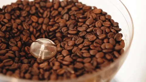 Roasted Coffee Beans Inside a Grinder Hopper Stock Footage 348114480
