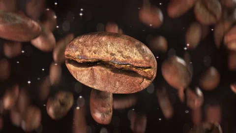 Roasted coffee beans jumping and falling down in super slow motion in 4K 스톡 동영상 144566955