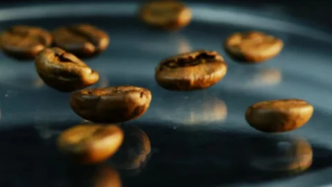 Roasted coffee beans jumping and rotating on isolated studio macro footage 4k Stock Footage 252029399