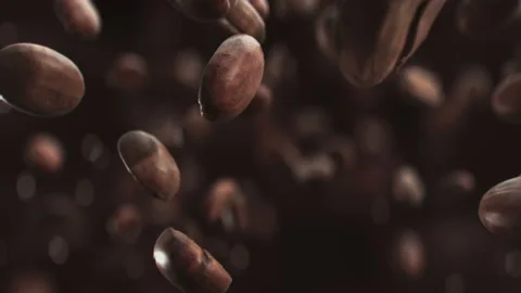Roasted coffee beans jumping in super slow motion in 4K Stock Footage 144613952