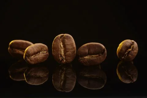Roasted Coffee Beans Line with Reflection on Black Background Photos