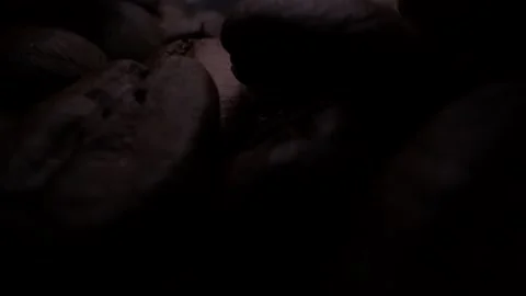 Roasted Coffee Beans Macro Close Up Stock Footage 131501207