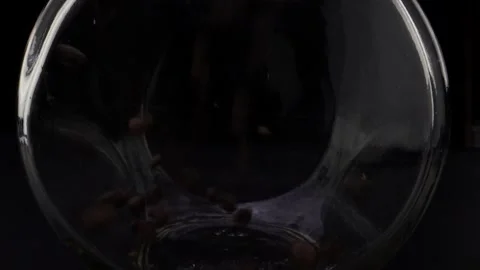 Roasted Coffee Beans Macro Close Up Stock Footage 131501241