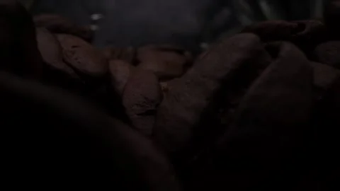 Roasted Coffee Beans Macro Close Up Stock Footage 131501317
