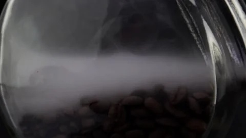 Roasted Coffee Beans Macro Close Up Stock Footage 131501410