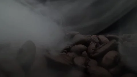 Roasted Coffee Beans Macro Close Up Stock Footage 131501450