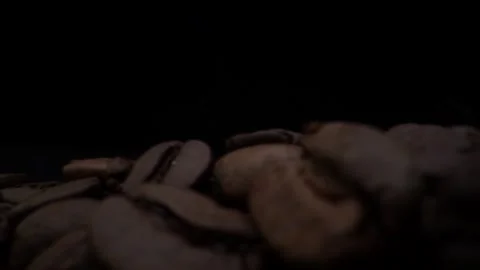 Roasted Coffee Beans Macro Close Up Stock Footage 131501464