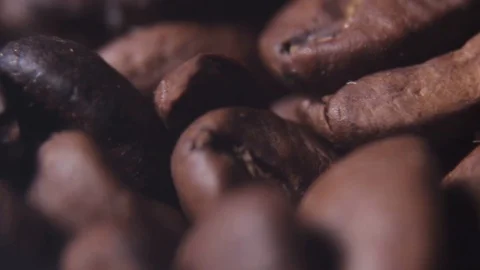 Roasted coffee beans macro shot Stock Footage 113782482