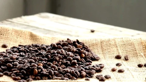 Roasted coffee beans in a man's hands Video stock 89681735