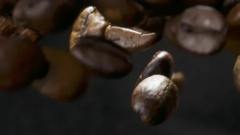 Roasted coffee beans moving upward and falling back 動画素材 316071376