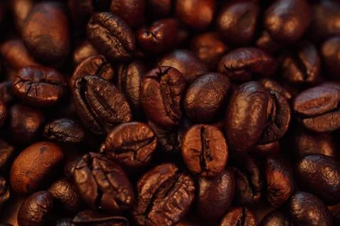 Roasted coffee beans (needle roast), Cafe and coffee shop concept Photos