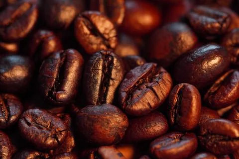 Roasted coffee beans (needle roast), Cafe and coffee shop concept Photos