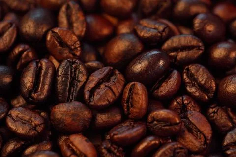 Roasted coffee beans (needle roast), Cafe and coffee shop concept Photos