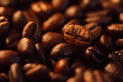 Roasted coffee beans (needle roast), Cafe and coffee shop concept Photos