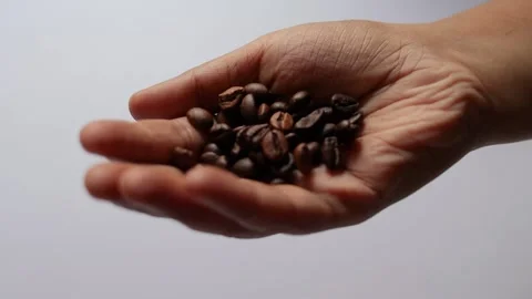Roasted coffee beans in palm of hands. Video stock 305555086