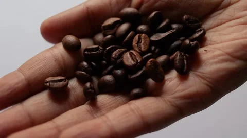 Roasted coffee beans in palm of hands. Video stock 305555908