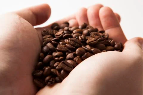 Roasted coffee beans in the palms of men Foto stock