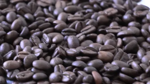 Roasted coffee beans panning Stock Footage 197584380