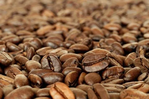 Roasted coffee beans 스톡 사진