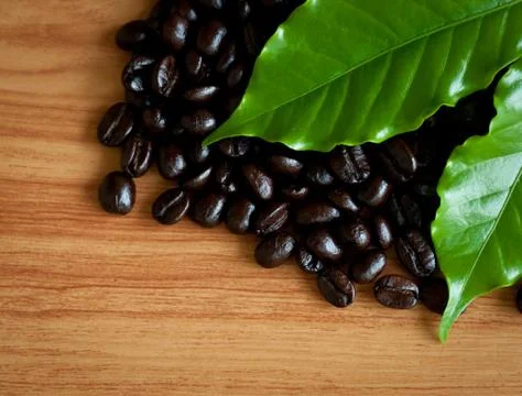 Roasted coffee beans . Stock Photos