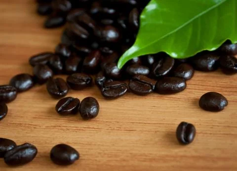 Roasted coffee beans . Stock Photos