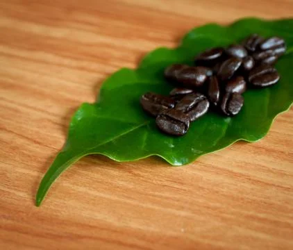 Roasted coffee beans . Stock Photos