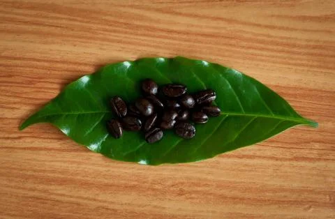 Roasted coffee beans . Stock Photos