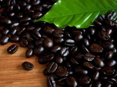 Roasted coffee beans . Stock Photos