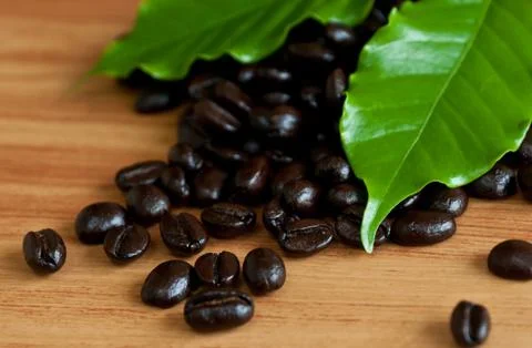 Roasted coffee beans . 写真素材