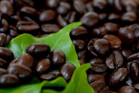 Roasted coffee beans . Stock Photos