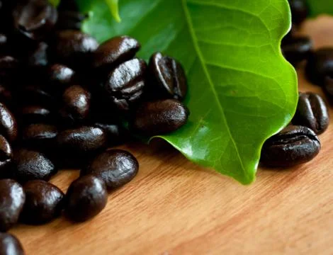 Roasted coffee beans . Stock Photos