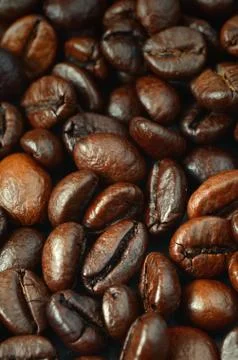 Roasted coffee beans Stock Photos