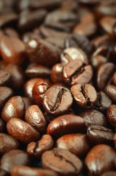 Roasted coffee beans Stock Photos
