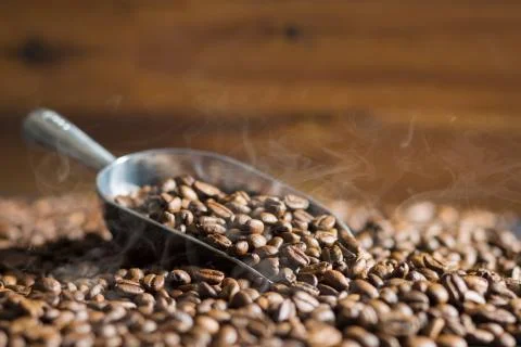 Roasted coffee beans. Stock Photos