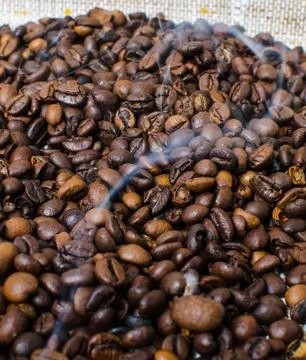 Roasted coffee beans Stock Photos