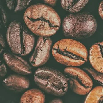 Roasted coffee beans Stock Photos