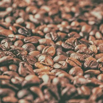 Roasted coffee beans Stock Photos