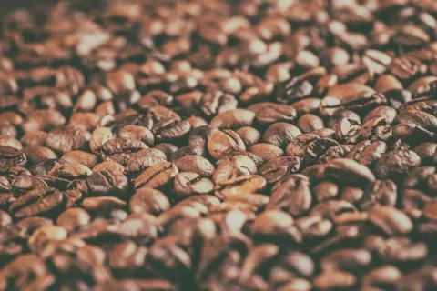 Roasted coffee beans Stock Photos