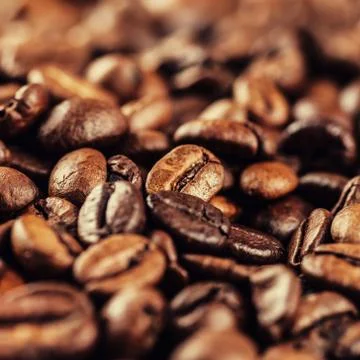 Roasted coffee beans Foto stock