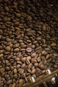 Roasted Coffee Beans Stock Photos